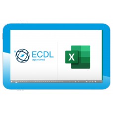 Excel Basics (web course)