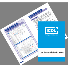 LES ESSENTIELS DU WEB – OUTLOOK 2016